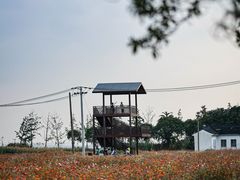 -莲花岛景区