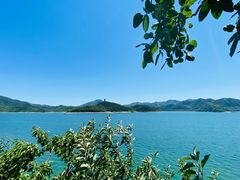 -望湖烤鱼