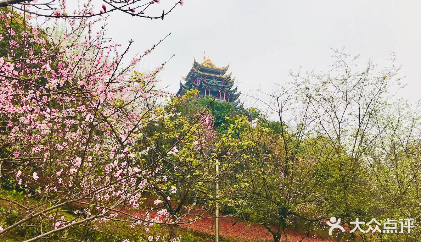 鸿恩寺森林公园