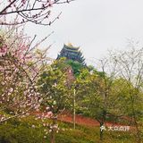 鸿恩寺森林公园