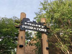 -清迈夜间动物园