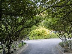 -烟台山景区