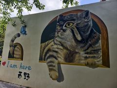 -青藏高原野生动物园