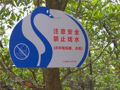 -宝安西湾红树林湿地公园