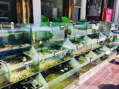 水产区-四海鲜渔家菜(黄金海岸店)