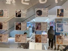 -猫冇咖·家门口的撸猫馆(大融城店)
