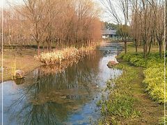-长田漾湿地公园