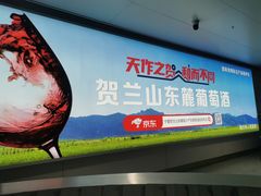 -银川河东国际机场