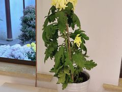 -汇龙潭