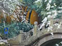 -北寺塔