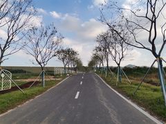 -光明小镇欢乐田园