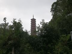 -大雁山风景区