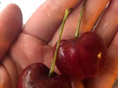 -菜园坝水果市场