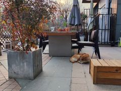 -隹木咖啡馆(宝龙广场店)