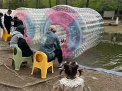 -长白岛森林公园