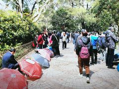 -人民公园-相亲角