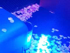 -唱吧麦颂KTV(萧山加州阳光广场店)