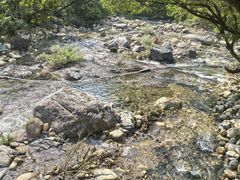 -石台牯牛降景区