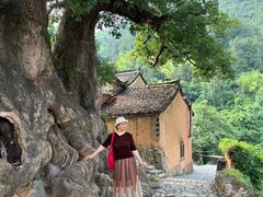 -杨家堂村
