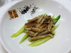 -新光酒家·河豚·海鲜·蟹料理(浦东店)