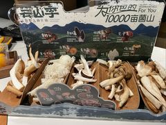 -芸山季·云南山珍菌火锅(南翔印象城MEGA店)