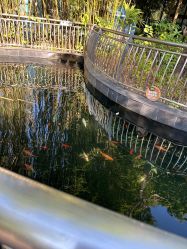-深圳市儿童乐园