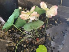 -儒之堂足道·推拿·SPA(安徽安庆店)