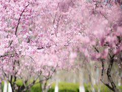 -白塘生态植物园