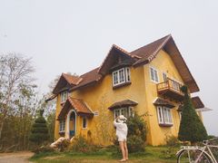 -黄色小屋