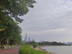 -深圳湾公园(南山区)