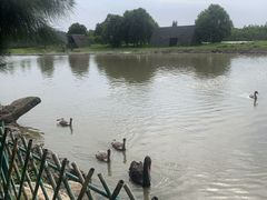 -漩门湾国家湿地公园