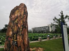 -南京医科大学(江宁校区)