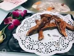 -九府羊·鲜羊火锅·烤串(新华路店)