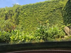 -洋湖国家湿地公园