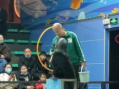-洛阳龙门海洋馆