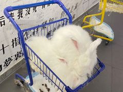 -成都失恋馆