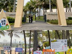 -欢乐海岸椰林沙滩-2025湾区超级灯会