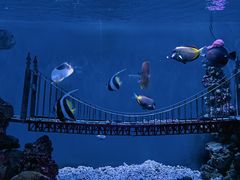 -太平洋海底世界