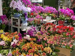 -金三角花鸟鱼综合市场-地面停车场