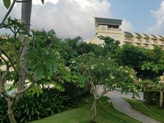 -三亚美高梅度假酒店滺水疗