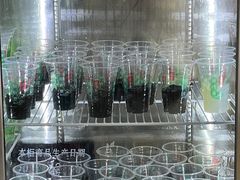 -润叶堂凉茶(岩屿路店)