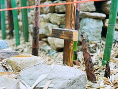 -竹泉村旅游度假区