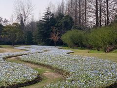 -上海滨江森林公园