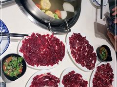 -陈记顺和潮汕牛肉火锅(韩江路店)