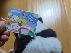 -都江堰中华大熊猫苑