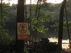 -大屏嶂森林公园
