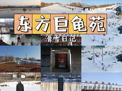 -东方巨龟苑景区