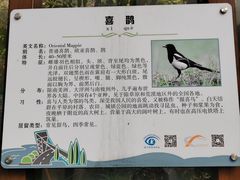 -仙岳公园