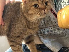 -万小咖.猫咖(中山路天虹店)