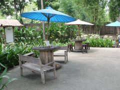 -大象粑粑造纸公园